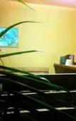 Туры в отель Vico Hotel