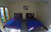Туры в отель Vico Hotel