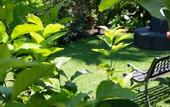 Туры в отель Hotel Villamare
