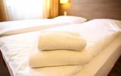 Туры в отель Hotel Marienthal