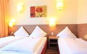 Туры в отель Hotel Marienthal