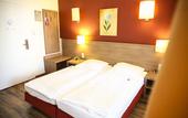 Туры в отель Hotel Marienthal