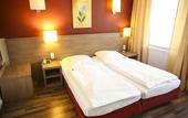 Туры в отель Hotel Marienthal