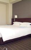 Туры в отель Centrair Hotel