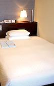 Туры в отель Centrair Hotel