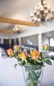Туры в отель Gideon Designhotel