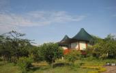 Туры в отель AA Lodge Masai Mara
