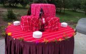 Туры в отель AA Lodge Masai Mara