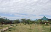 Туры в отель AA Lodge Masai Mara