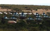 Туры в отель AA Lodge Masai Mara
