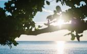 Туры в отель Medee Resort