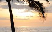 Туры в отель Medee Resort