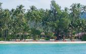 Туры в отель Medee Resort