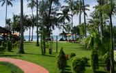 Туры в отель Medee Resort