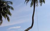 Туры в отель Medee Resort