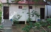 Туры в отель Perhentian Tropicana Inn