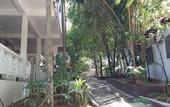 Туры в отель Perhentian Tropicana Inn