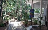 Туры в отель Perhentian Tropicana Inn