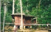 Туры в отель Perhentian Tropicana Inn