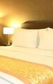 Туры в отель Forbis Hotel