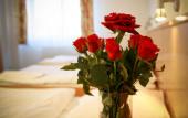Туры в отель COLORFACTORY SPA Hotel