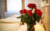 Туры в отель COLORFACTORY SPA Hotel
