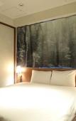 Туры в отель The Wall Hotel