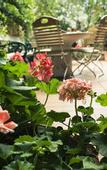 Туры в отель Vienna Hostel Ruthensteiner