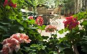 Туры в отель Vienna Hostel Ruthensteiner