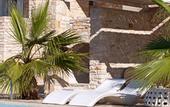 Туры в отель Calme Boutique Hotel Paros- Adults Only