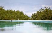 Туры в отель Calme Boutique Hotel Paros- Adults Only