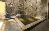 Туры в отель Premier Hotel Cabin Obihiro