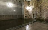 Туры в отель Premier Hotel Cabin Obihiro