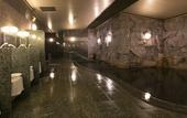 Туры в отель Premier Hotel Cabin Obihiro