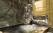 Туры в отель Premier Hotel Cabin Obihiro