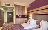 Туры в отель Holiday Inn Plovdiv by IHG