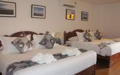 Туры в отель Heeren Straits Hotel
