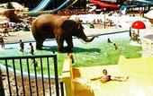 Туры в отель Hunguest Hotel Aqua-Sol