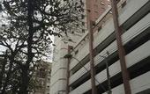 Туры в отель Ibis Santos Gonzaga Praia