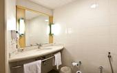 Туры в отель Ibis Santos Gonzaga Praia