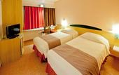 Туры в отель Ibis Santos Gonzaga Praia