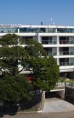 Туры в отель Cheonjiyeon Crystal Hotel