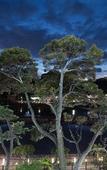 Туры в отель Cheonjiyeon Crystal Hotel