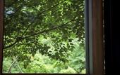 Туры в отель Hakone Retreat Fore