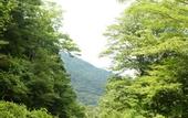 Туры в отель Hakone Retreat Fore