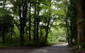 Туры в отель Hakone Retreat Fore