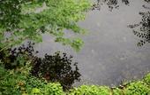 Туры в отель Hakone Retreat Fore