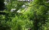 Туры в отель Hakone Retreat Fore