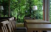 Туры в отель Hakone Retreat Fore