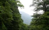 Туры в отель Hakone Retreat Fore
